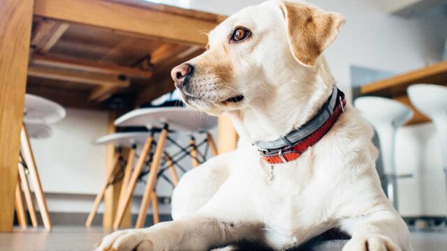 What’s in my kitchen