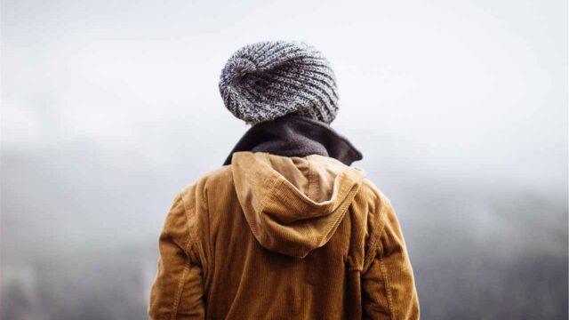 The Ultimate Cupcake Guide